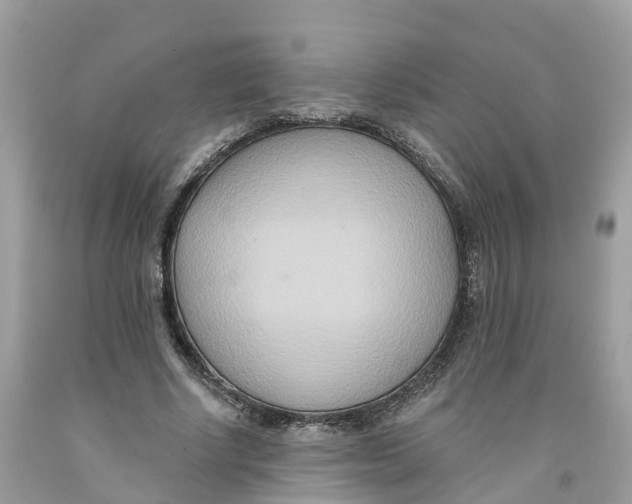 X0000091560634200709141536