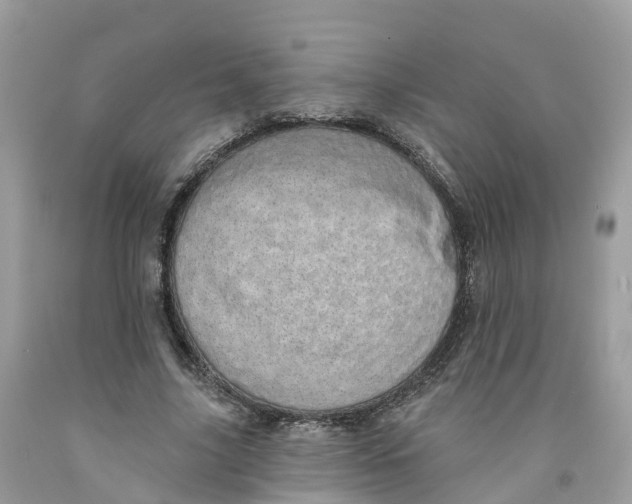 X0000091560635200709141536