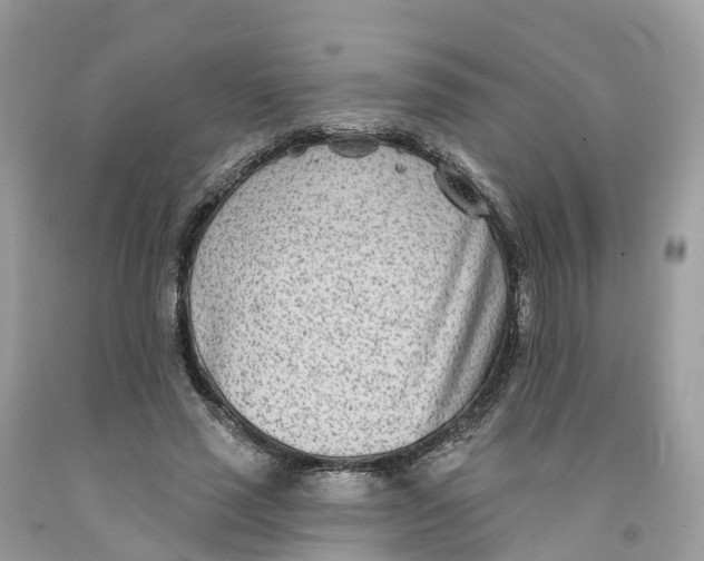 X0000091560637200709141536