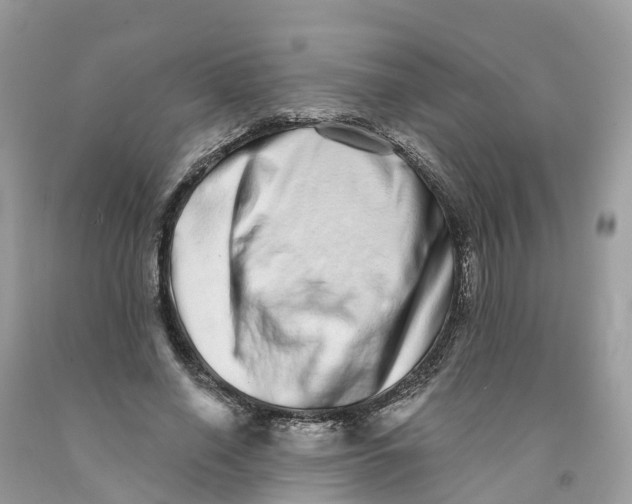 X0000091560638200709141536