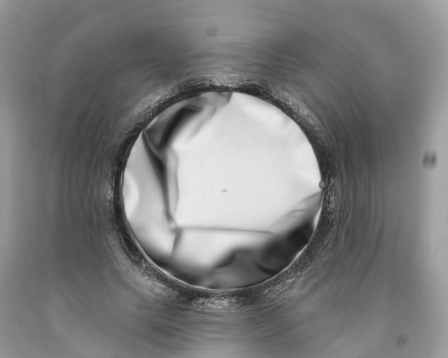 X0000091560639200709141536