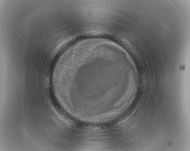 X0000091560640200709141536