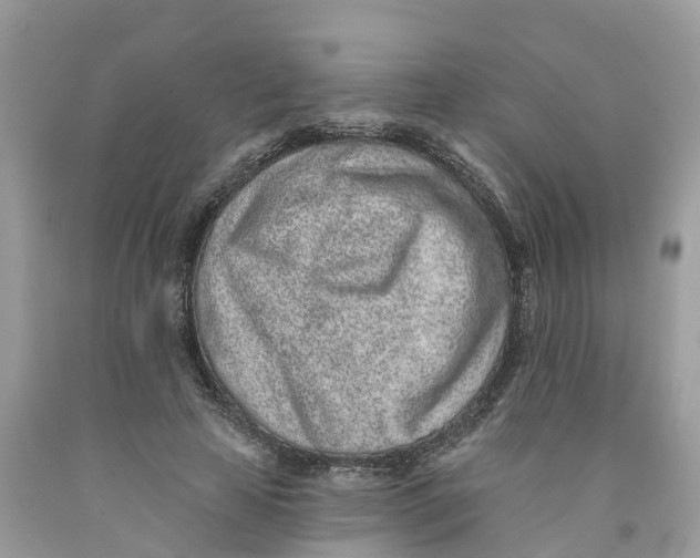 X0000091560641200709141536