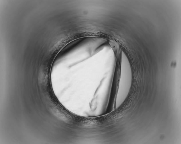 X0000091560642200709141537