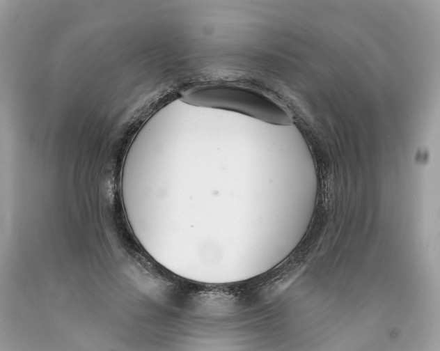 X0000091560644200709141537