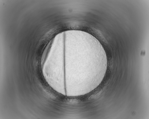 X0000091560645200709141537