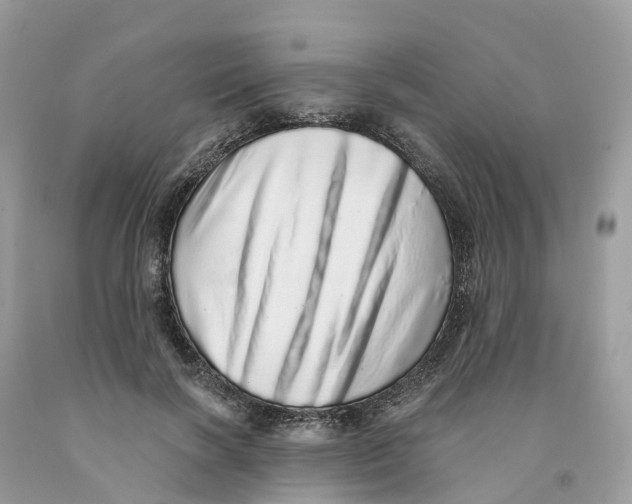 X0000091560646200709141537