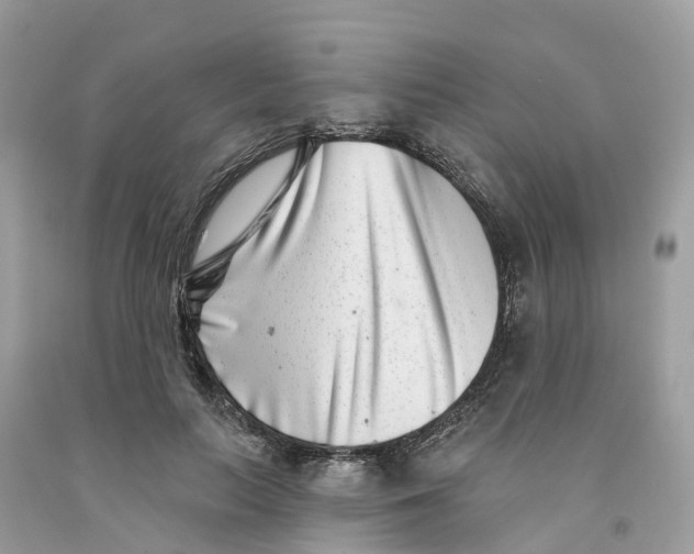 X0000091560647200709141537