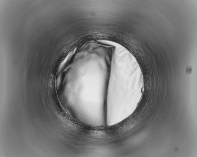 X0000091560649200709141537