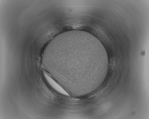 X0000091560650200709141537