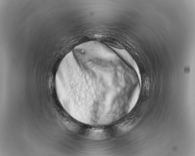 X0000091560651200709141537