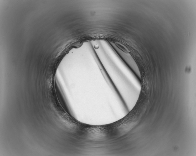 X0000091560652200709141537