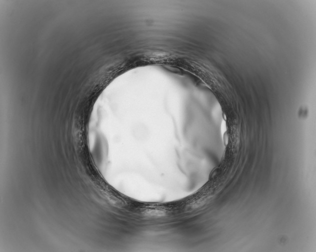 X0000091560653200709141537