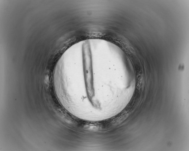 X0000091560655200709141537