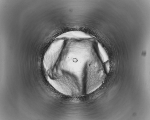 X0000091560656200709141537