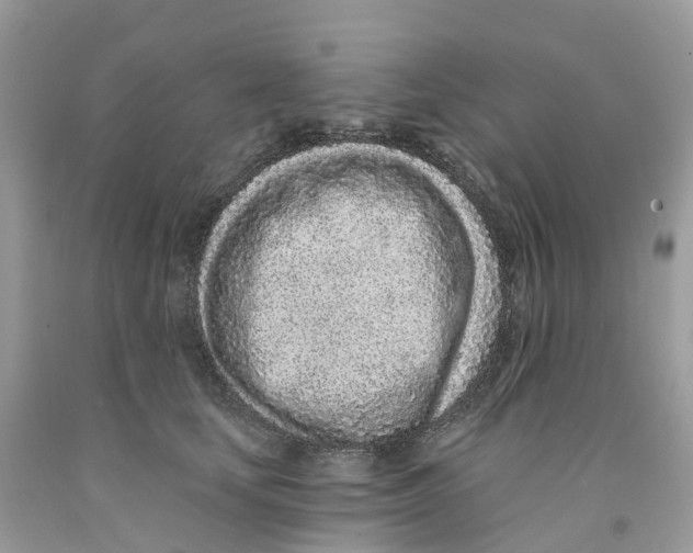 X0000091560659200709141537