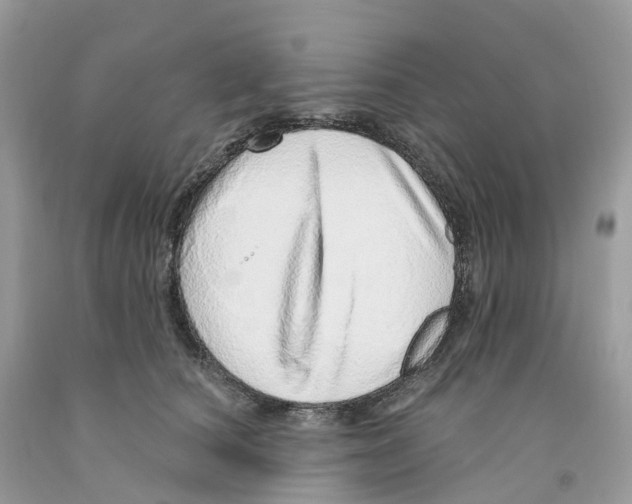 X0000091560660200709141537