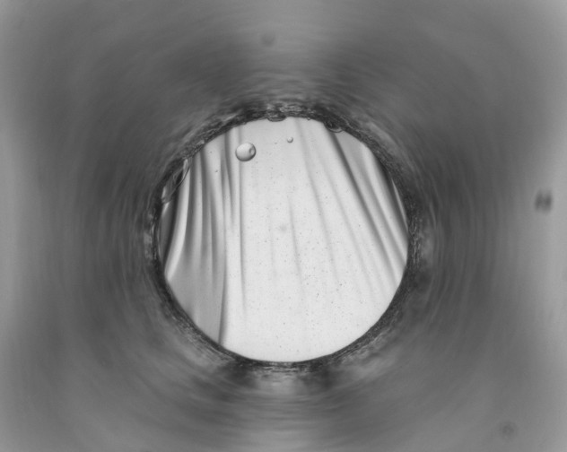 X0000091560661200709141537