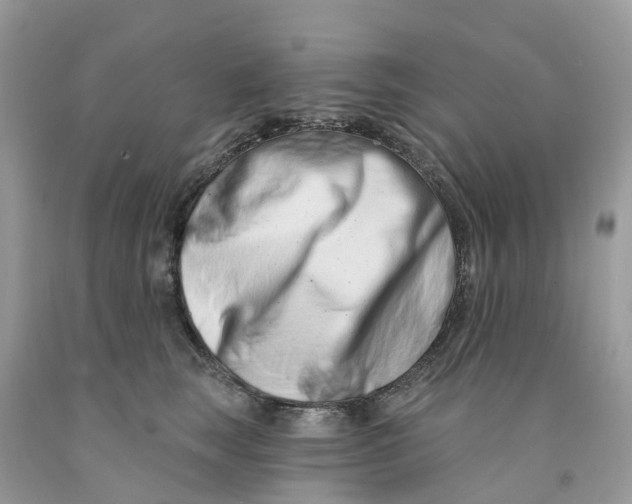 X0000091560663200709141537