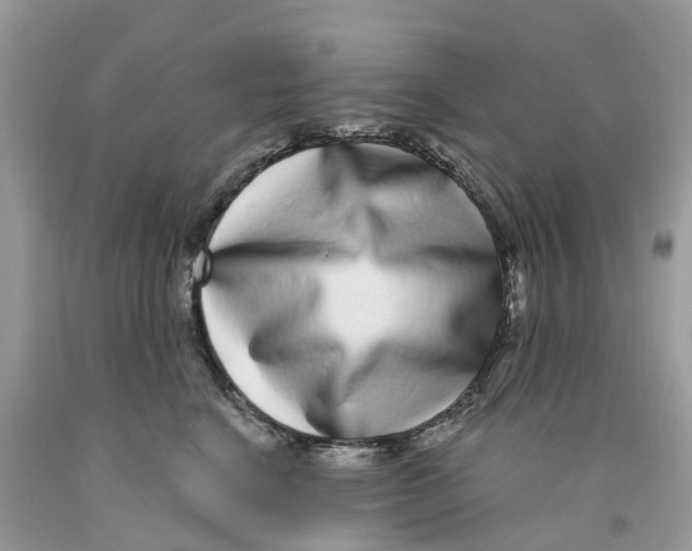 X0000091560664200709141537