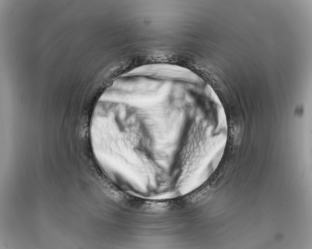 X0000091560665200709141537