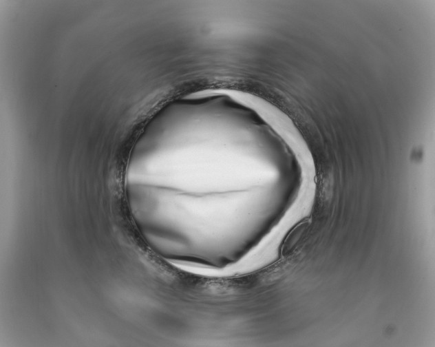 X0000091560666200709141537