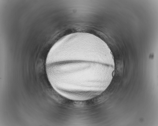 X0000091560667200709141537