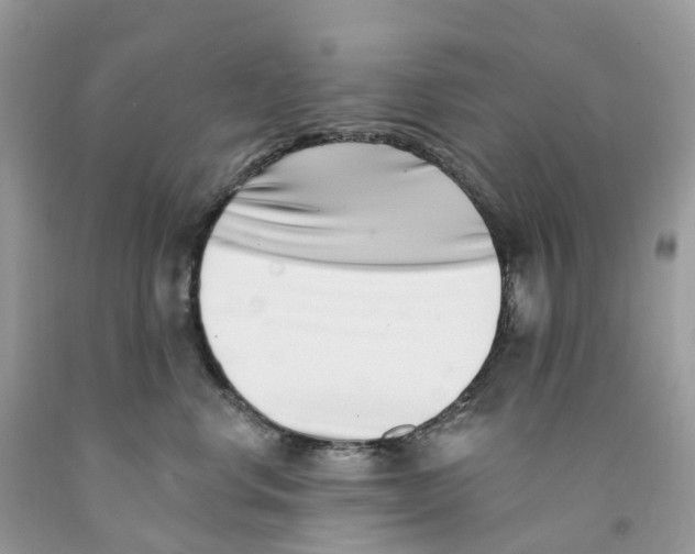 X0000091560668200709141537