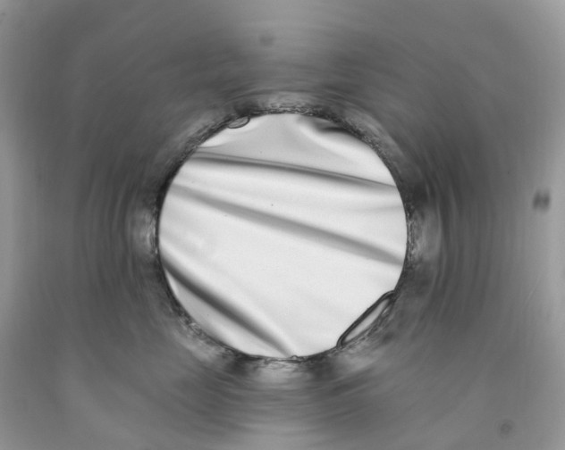 X0000091560669200709141537