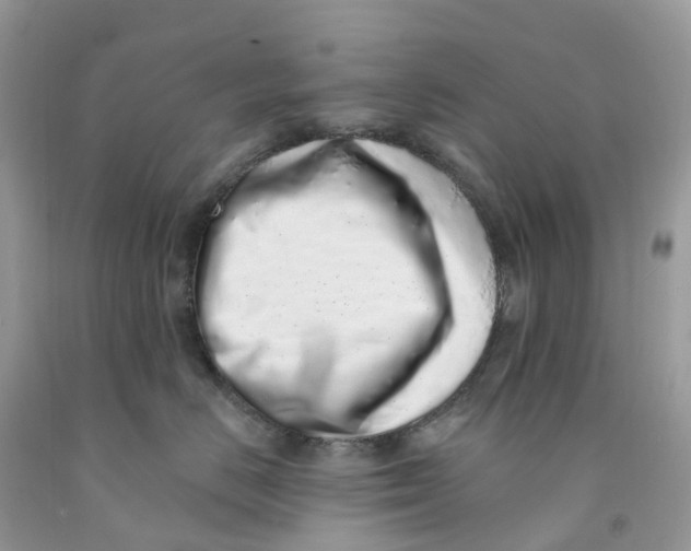 X0000091560670200709141537