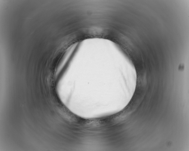 X0000091560671200709141537