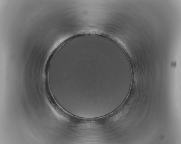 X0000091560674200709141536