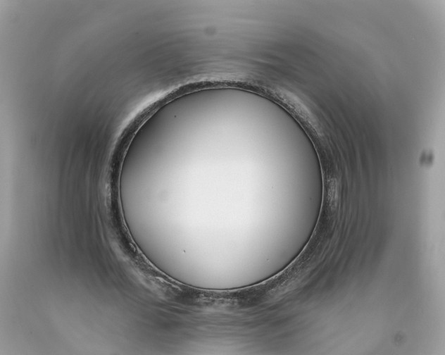 X0000091560676200709141536