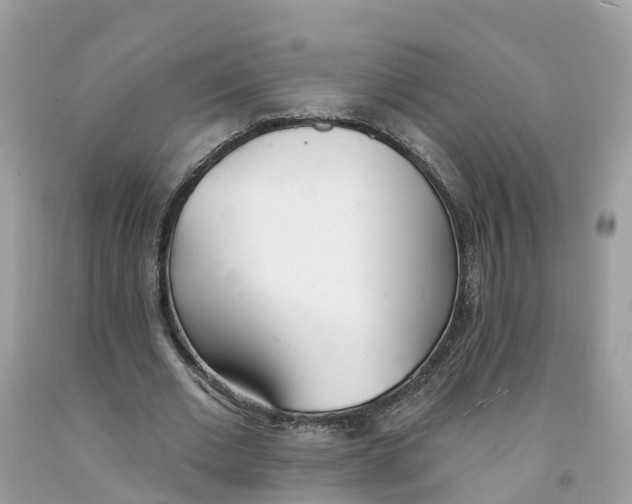 X0000091560677200709141536