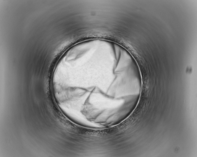 X0000091560679200709141536