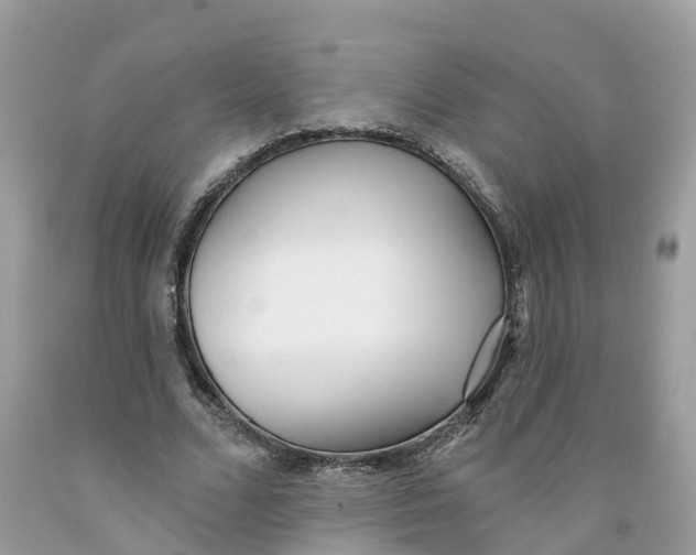 X0000091560680200709141536