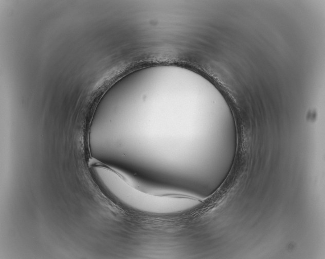 X0000091560681200709141536