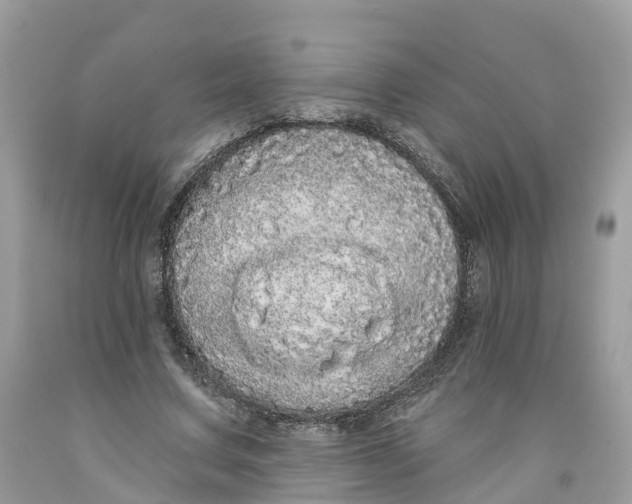 X0000091560683200709141536