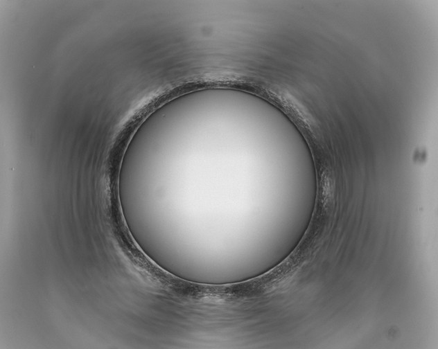 X0000091560684200709141536