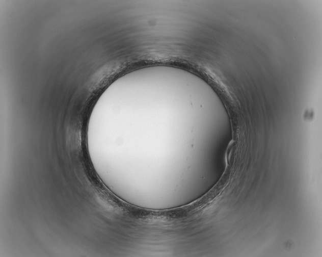 X0000091560685200709141536