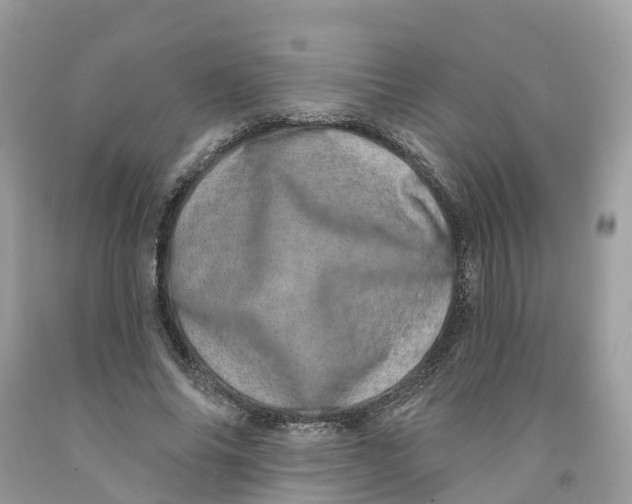 X0000091560686200709141536