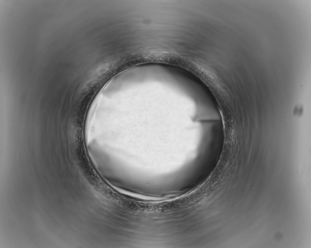 X0000091560687200709141536