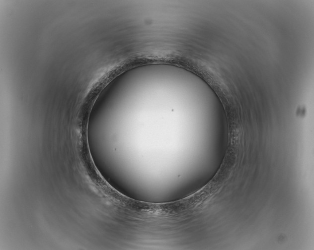 X0000091560688200709141536