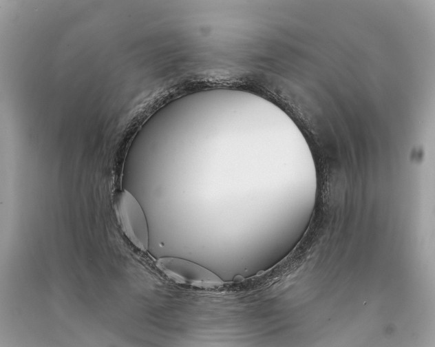 X0000091560689200709141536