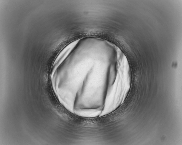 X0000091560691200709141536