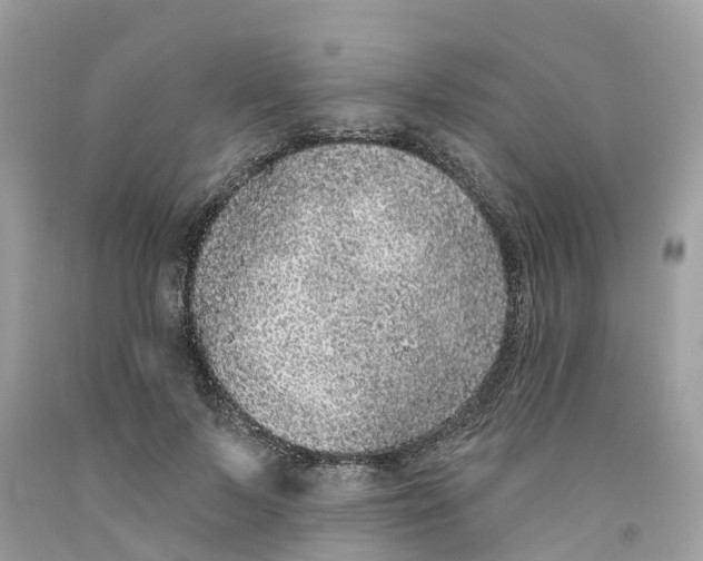 X0000091560695200709141536