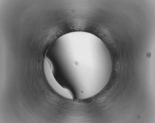 X0000091560697200709141536