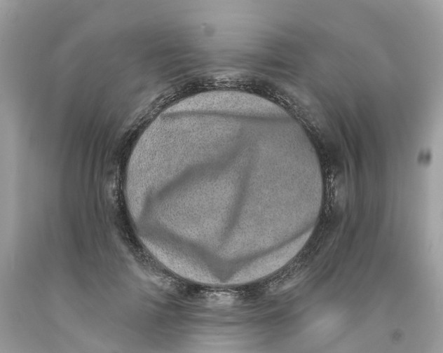 X0000091560698200709141536