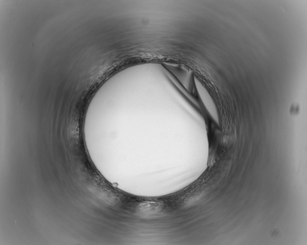 X0000091560700200709141536