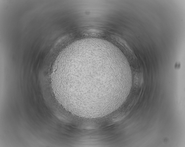 X0000091560701200709141536